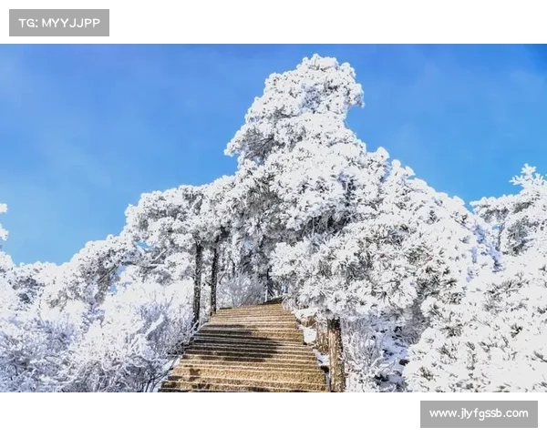 冬季湖畔如画美景雪映湖水冰封千里展现自然诗意的宁静与壮丽 冬季湖畔如画美景雪映湖水冰封千里展现自然诗意的宁静与壮丽