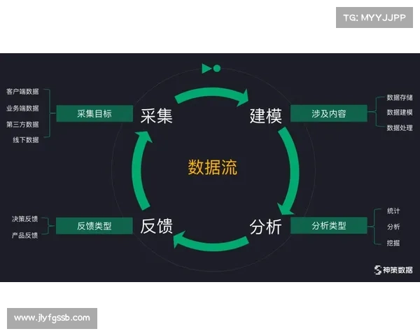 奥利塞式团队合作：启发创新、融合多元